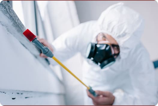 Our pest control local SEO services